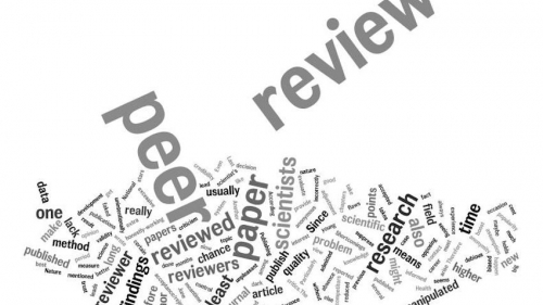 article review