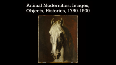 animal modernities poster image