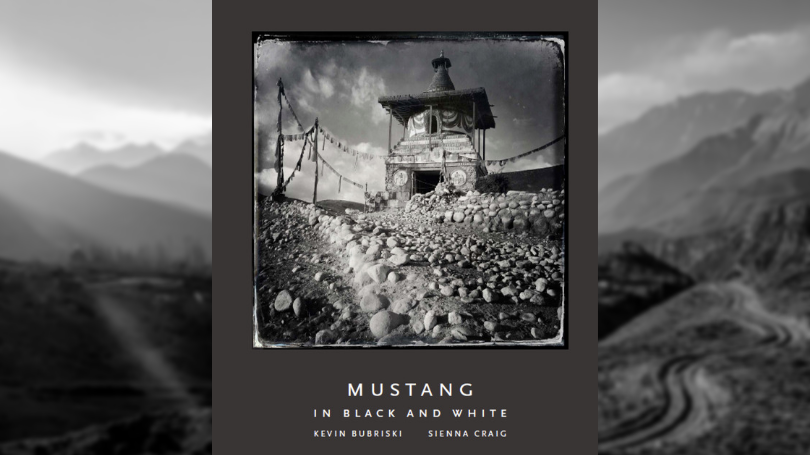 Mustang_book_cover_photo
