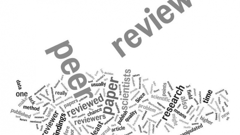 article review