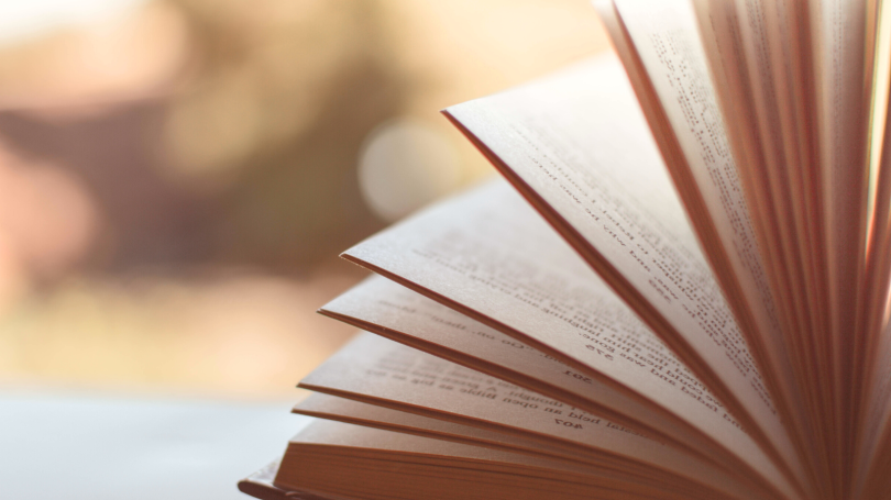 Pages in an open book.
